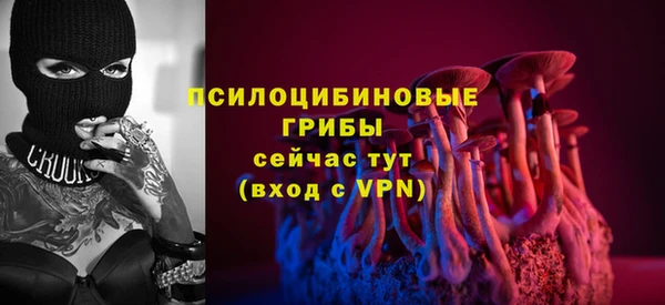 mdpv Коряжма