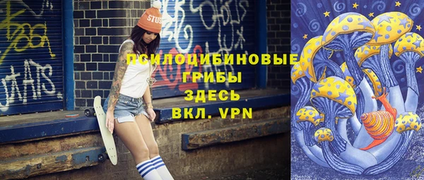 ПСИЛОЦИБИНОВЫЕ ГРИБЫ Костерёво