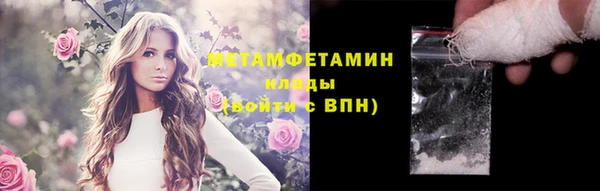 ПСИЛОЦИБИНОВЫЕ ГРИБЫ Костерёво