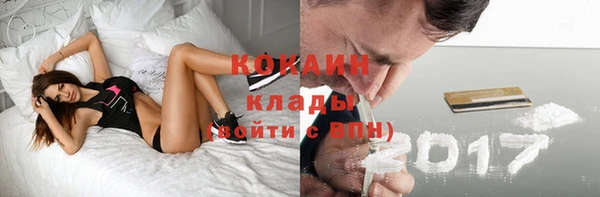 ПСИЛОЦИБИНОВЫЕ ГРИБЫ Костерёво
