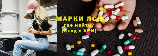 ПСИЛОЦИБИНОВЫЕ ГРИБЫ Костерёво