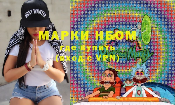 твердый Михайлов