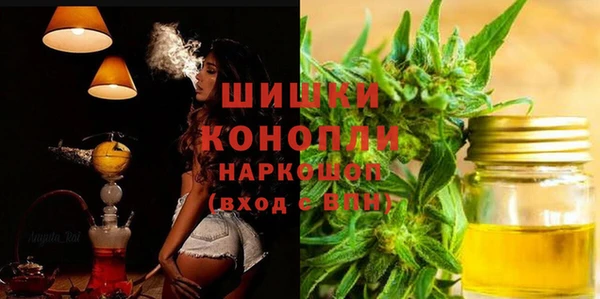 ПСИЛОЦИБИНОВЫЕ ГРИБЫ Костерёво