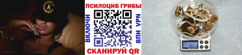 Псилоцибиновые грибы Cubensis МЕГА зеркало Елец