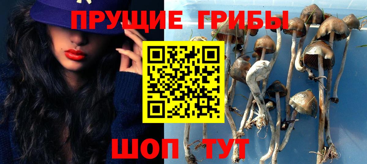 Псилоцибиновые грибы ЛСД  Елец 