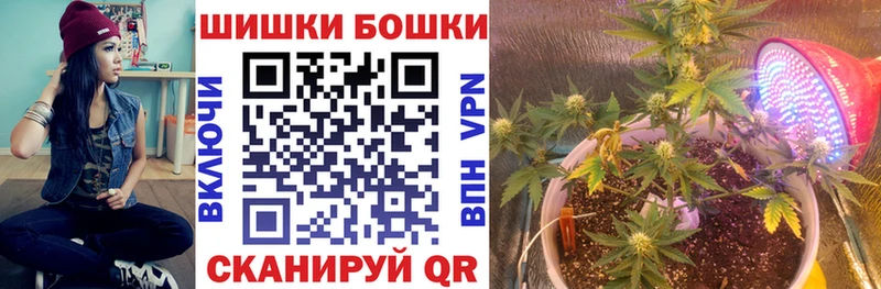Бошки Шишки тримм  что такое   Елец 
